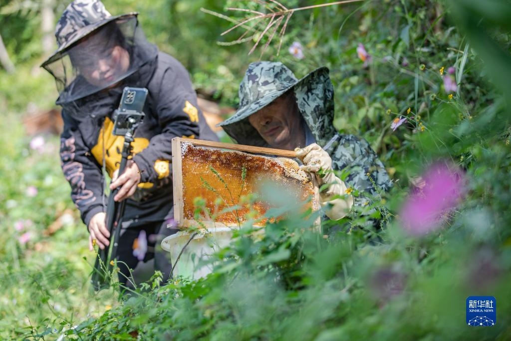 常熟棋牌大厅下载